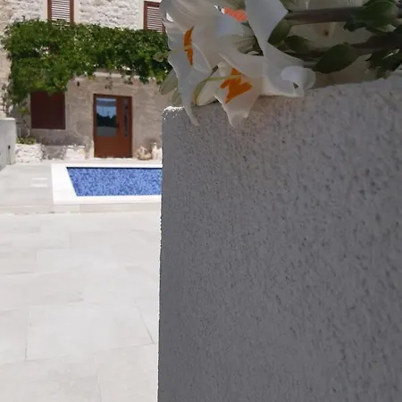 Villa Dragi *